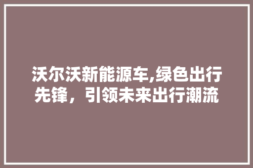 沃尔沃新能源车,绿色出行先锋，引领未来出行潮流