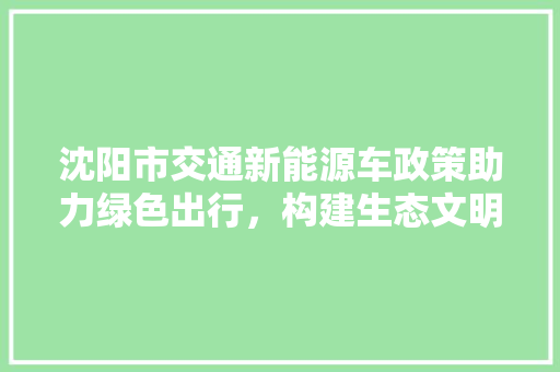沈阳市交通新能源车政策助力绿色出行，构建生态文明新格局 车载导航