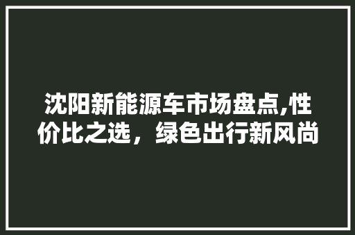 沈阳新能源车市场盘点,性价比之选，绿色出行新风尚