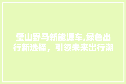 璧山野马新能源车,绿色出行新选择，引领未来出行潮流