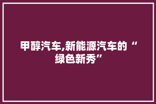 甲醇汽车,新能源汽车的“绿色新秀”