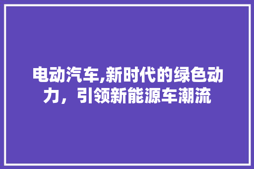 电动汽车,新时代的绿色动力，引领新能源车潮流