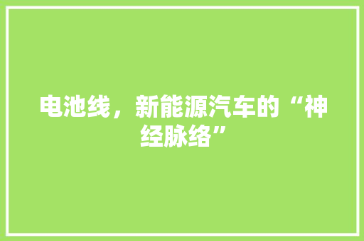 电池线，新能源汽车的“神经脉络”