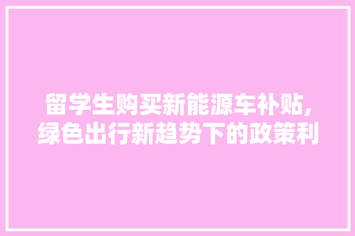 留学生购买新能源车补贴,绿色出行新趋势下的政策利好