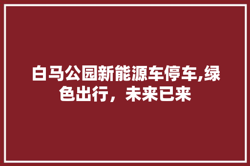 白马公园新能源车停车,绿色出行，未来已来