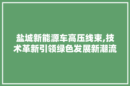 盐城新能源车高压线束,技术革新引领绿色发展新潮流