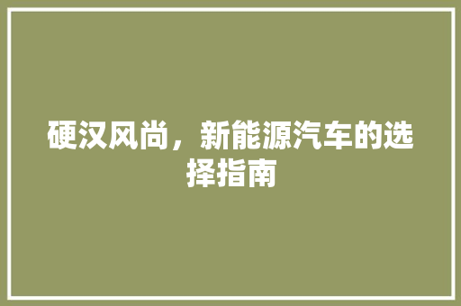 硬汉风尚，新能源汽车的选择指南