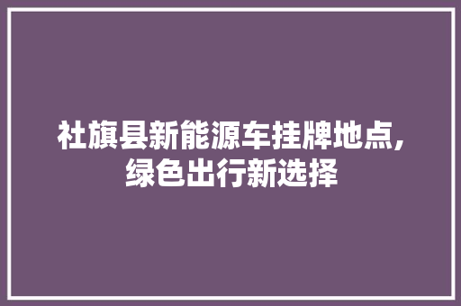 社旗县新能源车挂牌地点,绿色出行新选择