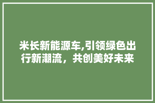 米长新能源车,引领绿色出行新潮流，共创美好未来