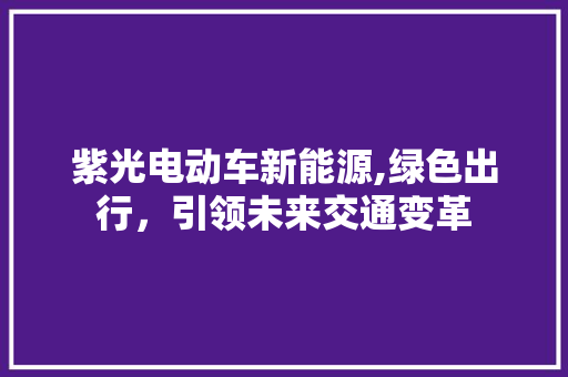 紫光电动车新能源,绿色出行，引领未来交通变革