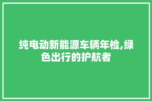 纯电动新能源车辆年检,绿色出行的护航者