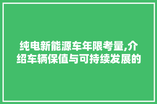 纯电新能源车年限考量,介绍车辆保值与可持续发展的平衡之路