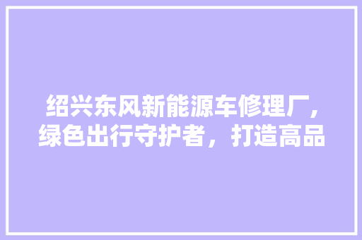 绍兴东风新能源车修理厂,绿色出行守护者，打造高品质维修服务