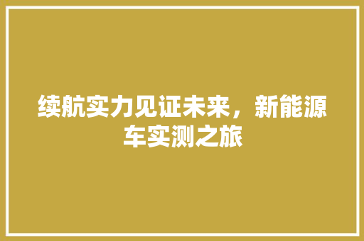 续航实力见证未来，新能源车实测之旅 智能驾驶