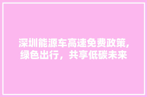 深圳能源车高速免费政策,绿色出行，共享低碳未来 汽车保养