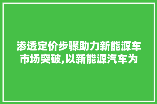 渗透定价步骤助力新能源车市场突破,以新能源汽车为例