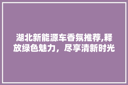 湖北新能源车香氛推荐,释放绿色魅力，尽享清新时光