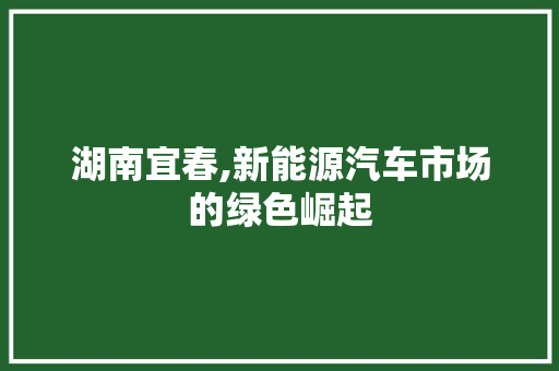 湖南宜春,新能源汽车市场的绿色崛起