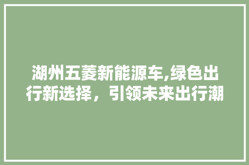 湖州五菱新能源车,绿色出行新选择，引领未来出行潮流