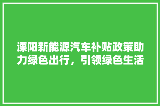 溧阳新能源汽车补贴政策助力绿色出行，引领绿色生活新风尚 汽车配件