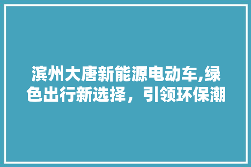 滨州大唐新能源电动车,绿色出行新选择，引领环保潮流 车载导航