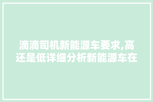 滴滴司机新能源车要求,高还是低详细分析新能源车在滴滴平台的应用