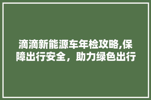 滴滴新能源车年检攻略,保障出行安全，助力绿色出行