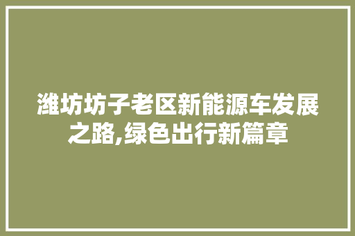 潍坊坊子老区新能源车发展之路,绿色出行新篇章