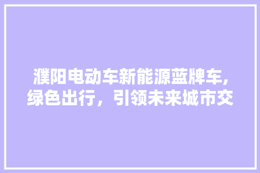 濮阳电动车新能源蓝牌车,绿色出行，引领未来城市交通新风尚