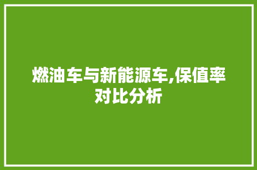 燃油车与新能源车,保值率对比分析