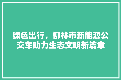 绿色出行，柳林市新能源公交车助力生态文明新篇章