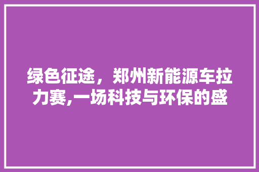 绿色征途，郑州新能源车拉力赛,一场科技与环保的盛宴