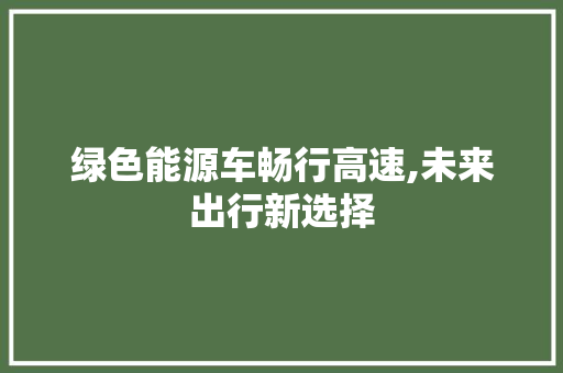 绿色能源车畅行高速,未来出行新选择 汽车配件