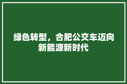 绿色转型，合肥公交车迈向新能源新时代 智能驾驶