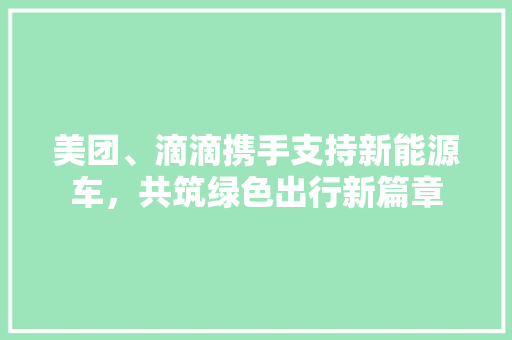 美团、滴滴携手支持新能源车，共筑绿色出行新篇章