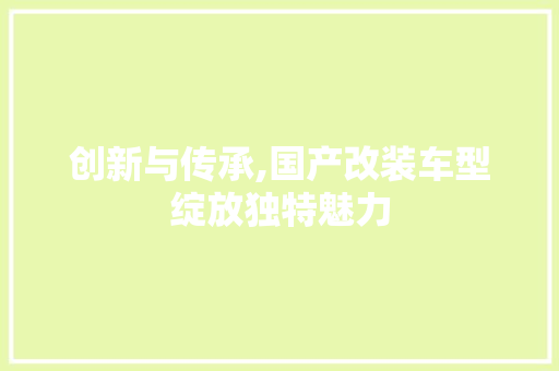 创新与传承,国产改装车型绽放独特魅力