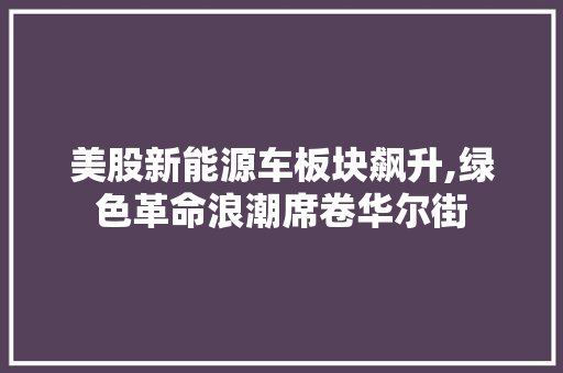 美股新能源车板块飙升,绿色革命浪潮席卷华尔街 车载导航