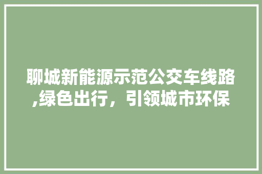 聊城新能源示范公交车线路,绿色出行，引领城市环保新风尚