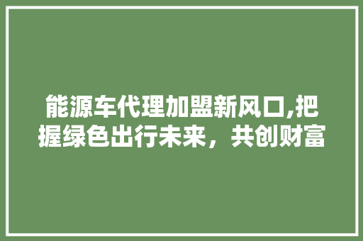 能源车代理加盟新风口,把握绿色出行未来，共创财富新篇章