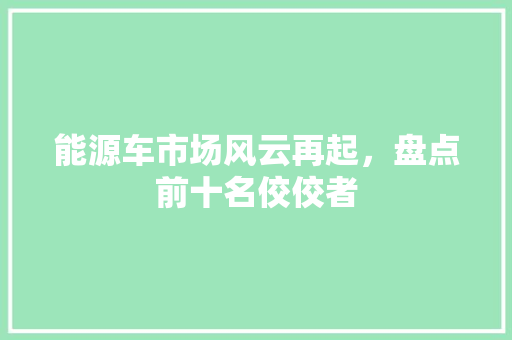 能源车市场风云再起，盘点前十名佼佼者