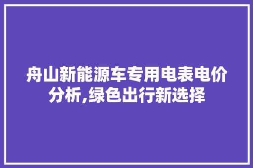 舟山新能源车专用电表电价分析,绿色出行新选择