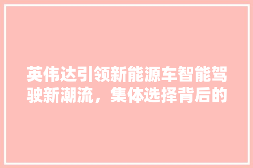 英伟达引领新能源车智能驾驶新潮流，集体选择背后的逻辑与意义