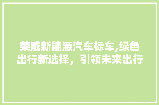 荣威新能源汽车标车,绿色出行新选择，引领未来出行潮流