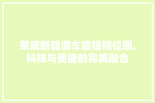 荣威新能源车旋钮档位图,科技与便捷的完美融合