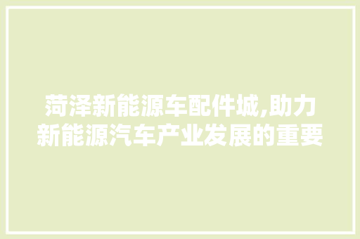 菏泽新能源车配件城,助力新能源汽车产业发展的重要枢纽