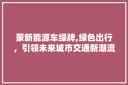 蒙新能源车绿牌,绿色出行，引领未来城市交通新潮流