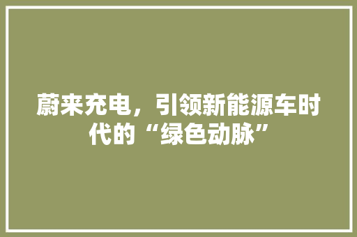 蔚来充电，引领新能源车时代的“绿色动脉”