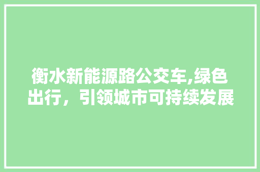 衡水新能源路公交车,绿色出行，引领城市可持续发展新风尚