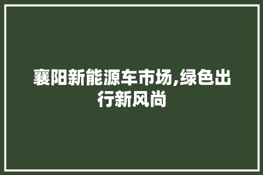 襄阳新能源车市场,绿色出行新风尚