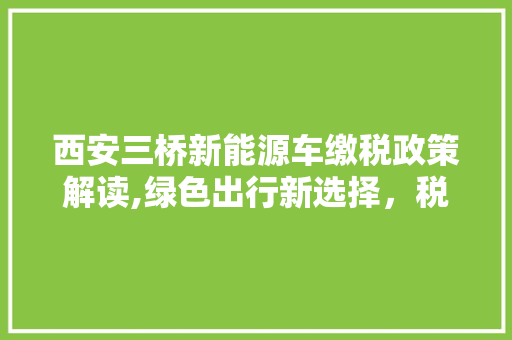 西安三桥新能源车缴税政策解读,绿色出行新选择，税收优惠助力产业发展